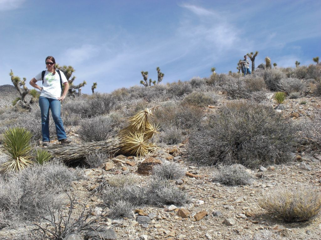 At first, we went up the side canyon for a while, and then climbed up the hillside to walk along a ridge: