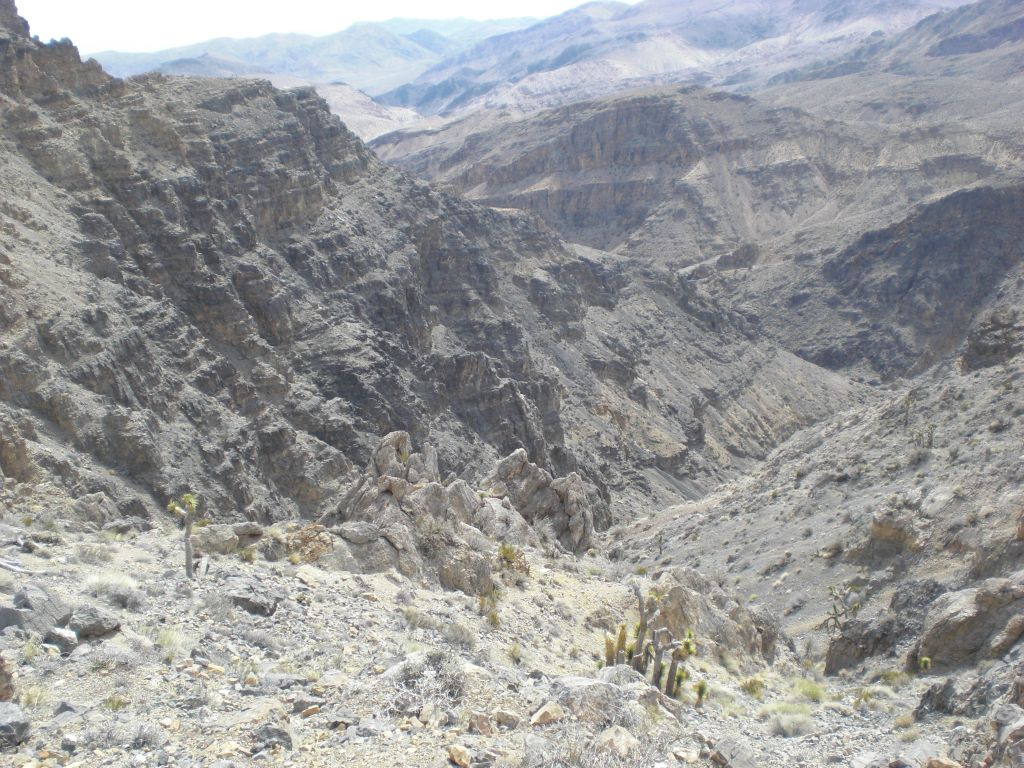 And in this photo, you can see Dry Bone Canyon as it continues far below us: