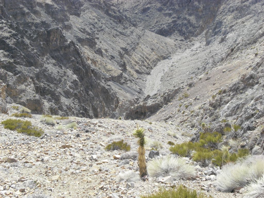 Taking a closer look, we can see that it is going to be a long ways down to get back into the canyon:
