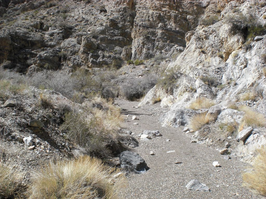 Finally on the canyon floor once again.  Before getting here, we had to figure out a route to avoid climbing.  Regardless, a fall would still be painful during the last section as the rocks are both sharp and loose.  But just to emphasize, the route is not obvious, it requires thought, trail and error, and caution: