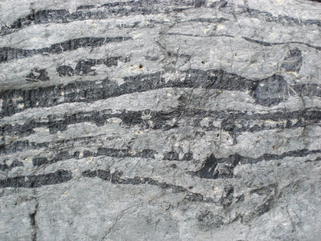 Black bands making patterns on the rock: