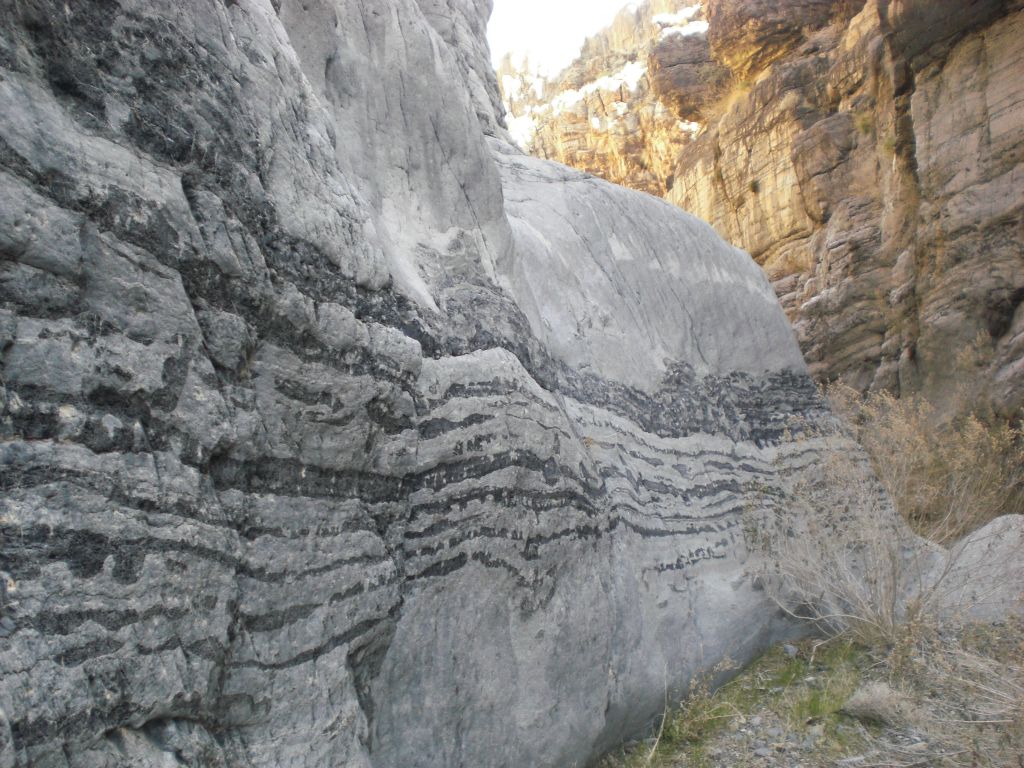 These fantastic black bands stretched across some of the canyon walls: