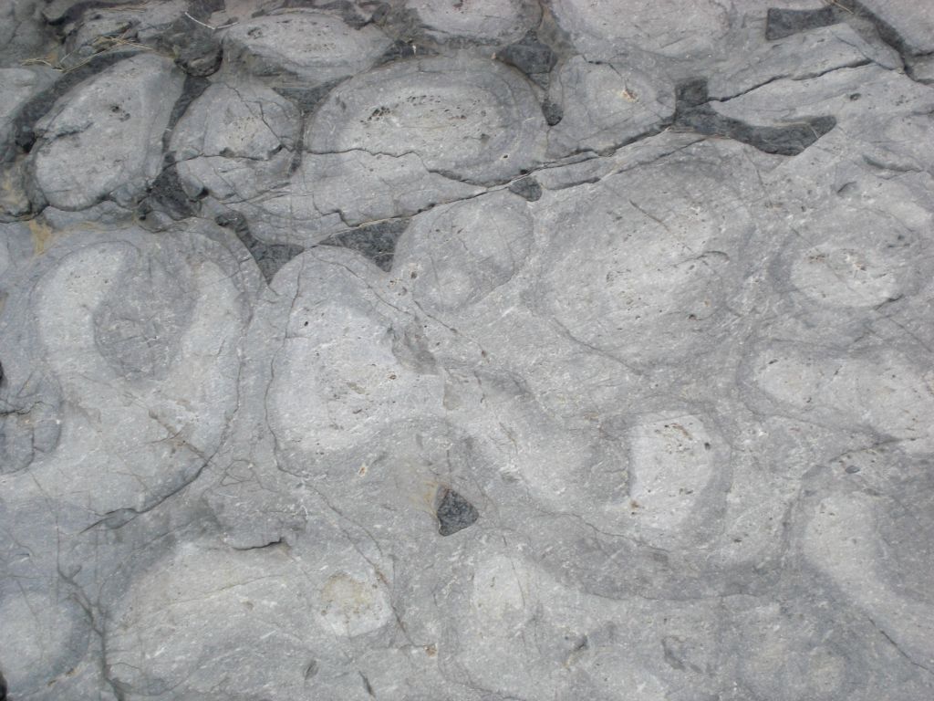 There were some very interesting shapes and designs on the surface of the rocks in the 2nd Narrows: