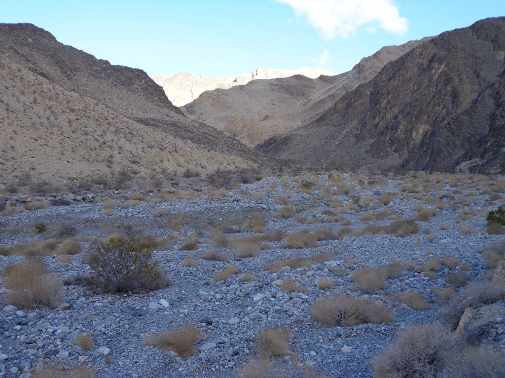 It is mostly a wide wash through the early part of the canyon: