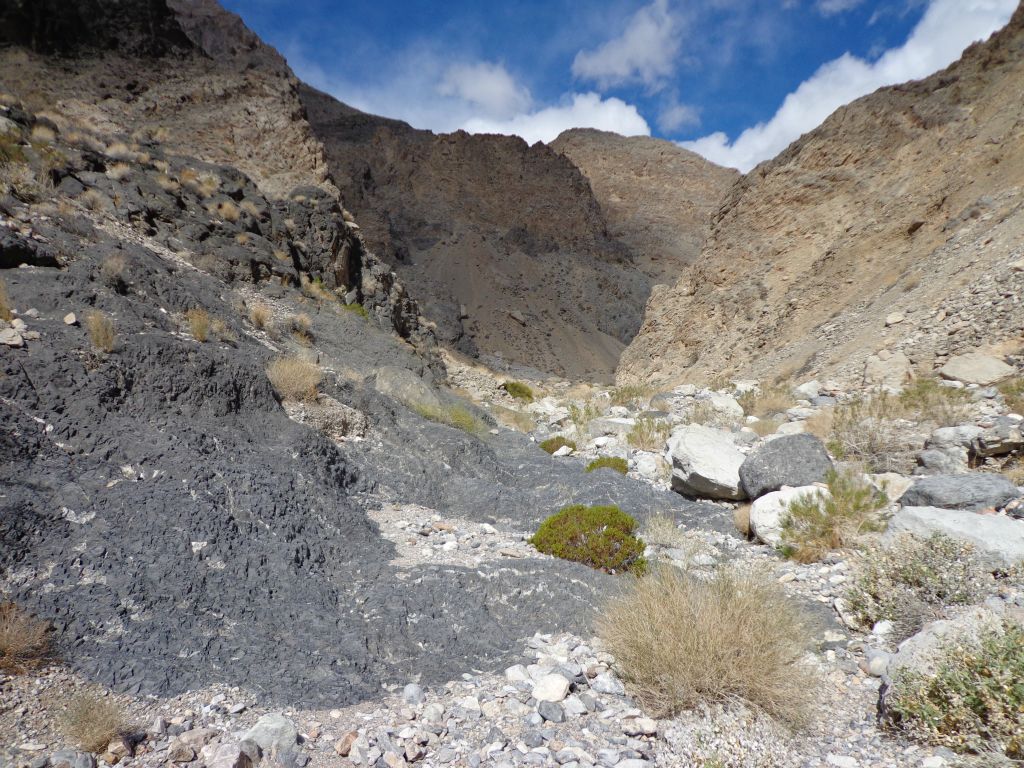 Around the bend in the distance is where Dry Bone MSC finally starts narrowing down: