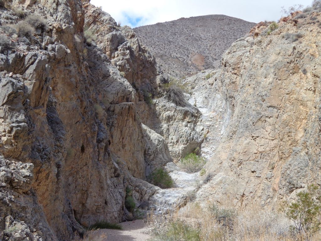 This is the view up the 3rd side canyon.  As you can see, there is much more to explore and discover in this area: