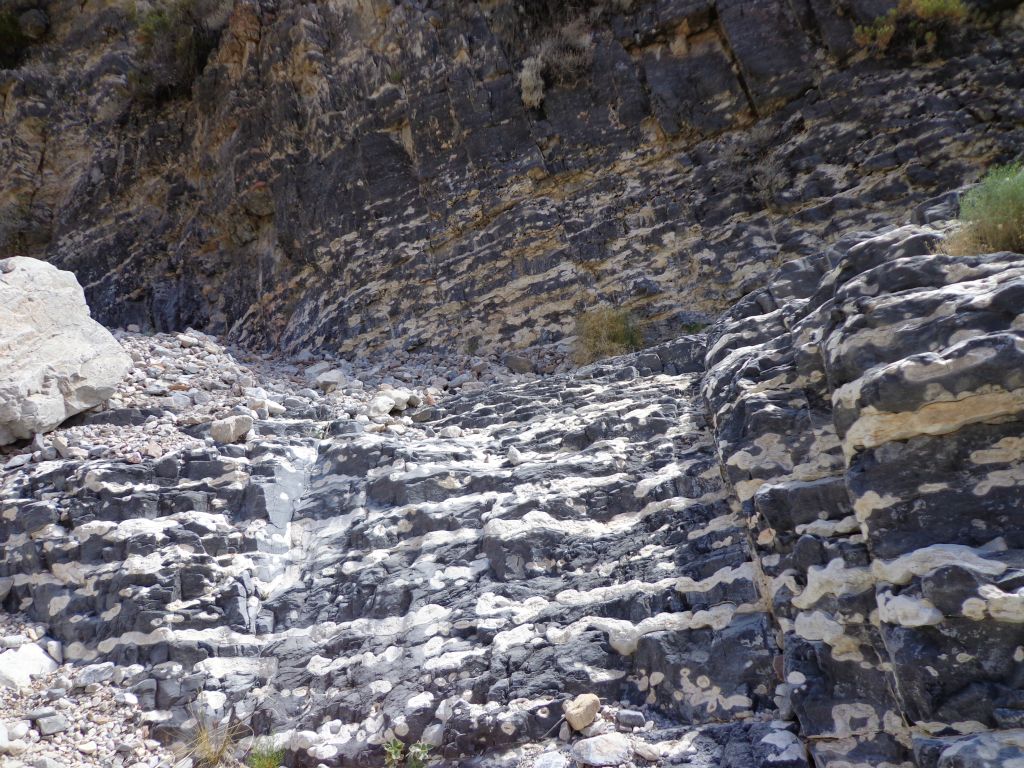 Even more impressive was this area of white bands on the rocks which reminded me of Marble Canyon's 4th Narrows: