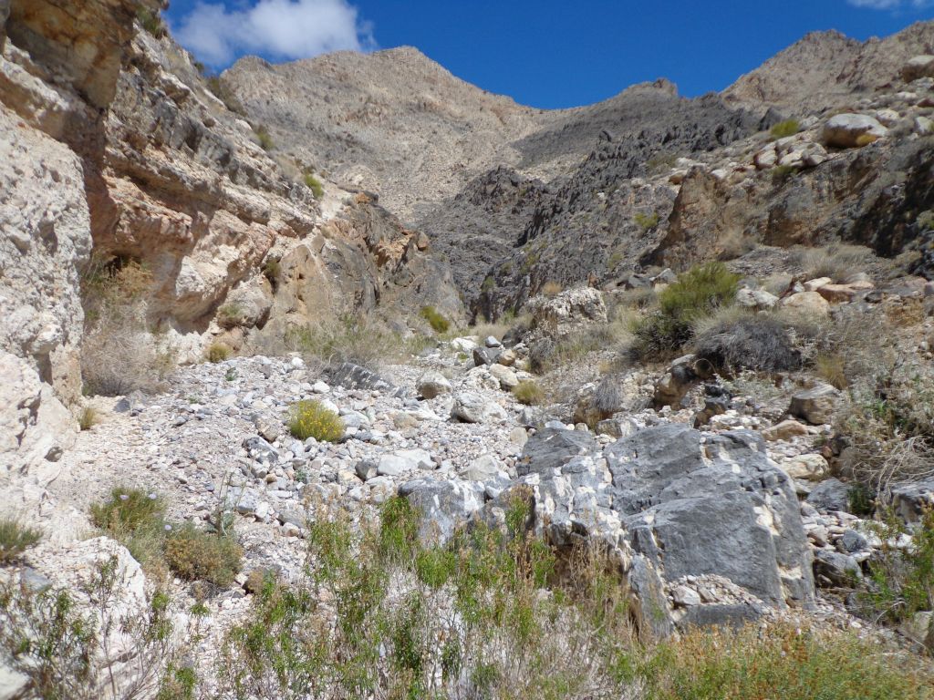The next four pictures show my progress as I kept hiking up the 2nd Narrows: