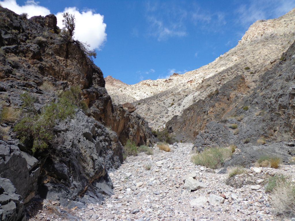 The canyon gradually made a final transition from rock walls to dirt hillsides: