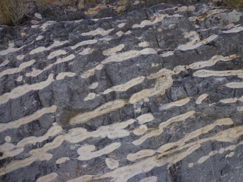 The dark rock really made the white bands stand out: