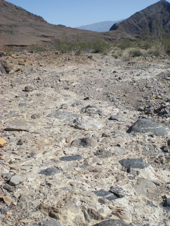Once we exited the narrows, we had to make the long trip back to our vehicle.  The nice thing was that we decided to loop back to it taking a different route, so we would be seeing new scenery.  Here we are walking on some nice desert pavement: