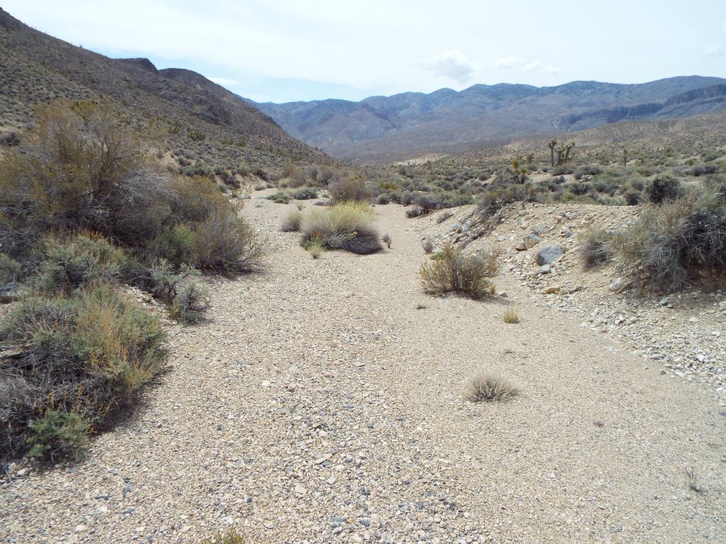 Dropping into the basin, we soon encountered a smooth walking path made of fine gravel: