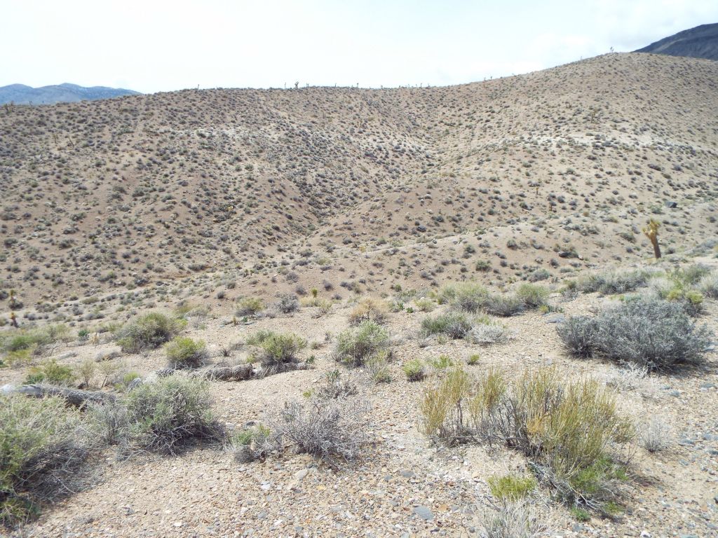 The shortcut proved to be harder than expected.  My research at home showed it would save about 1 mile of hiking, but there was a price to pay: