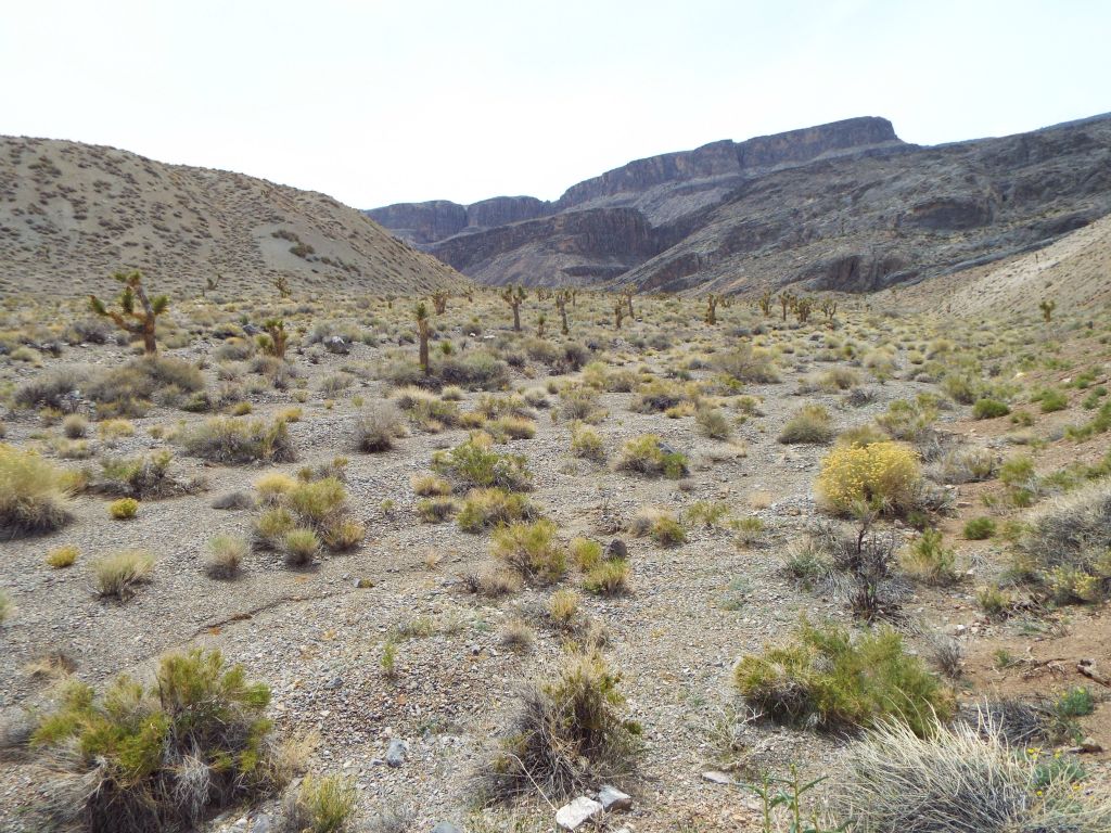 When we finally arrived in this large wash after completing our shortcut, Curtis decided to take a long nap while I continued on to Lost Canyon.  He was worn out from the hike up Bighorn North: