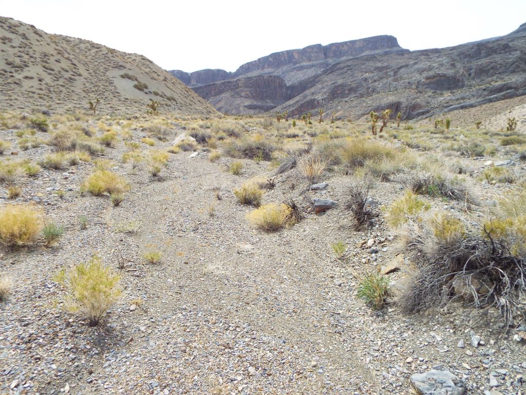 This wash leads up to Bighorn Springs and also passes by an incredible 100+ foot dry fall: