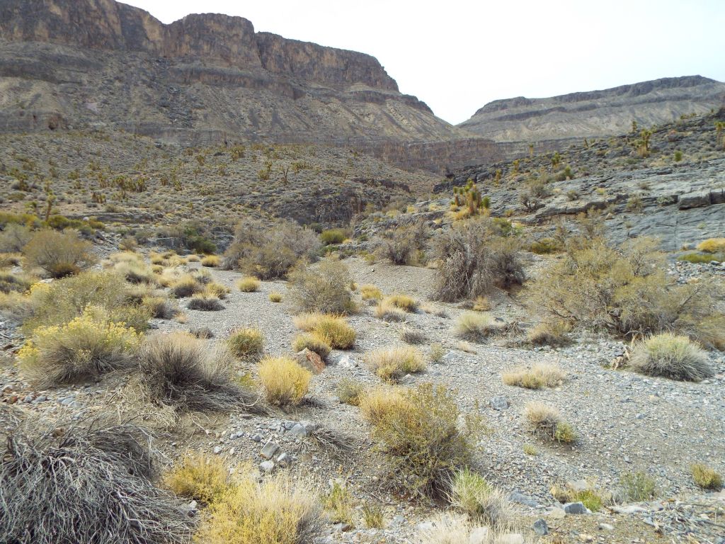 About 1 mile up the wash, I finally turned off into Lost Canyon: