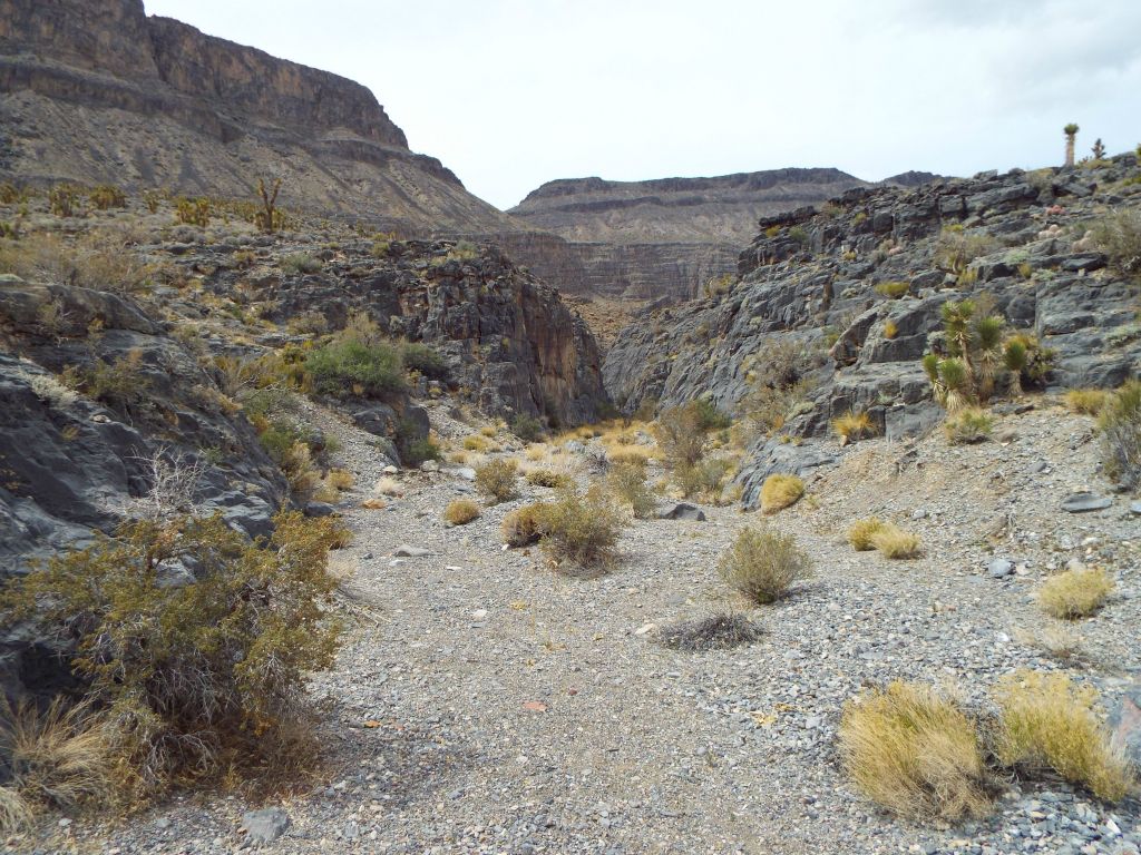 At the mouth of Lost Canyon after a 3 1/2 year wait for this hike: