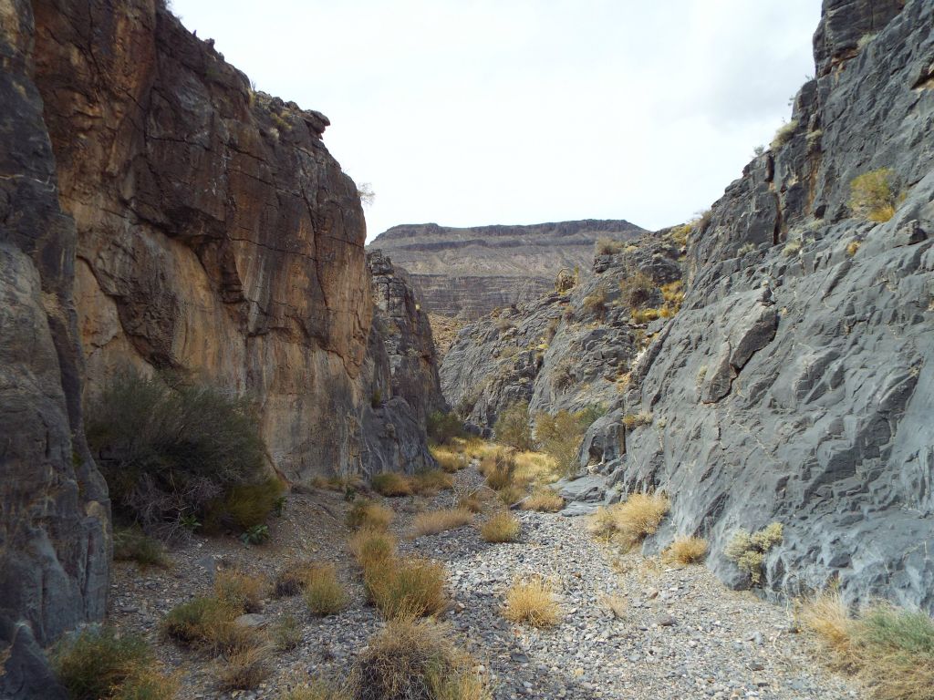 The 1st Narrows of Lower Lost Canyon begin immediately: