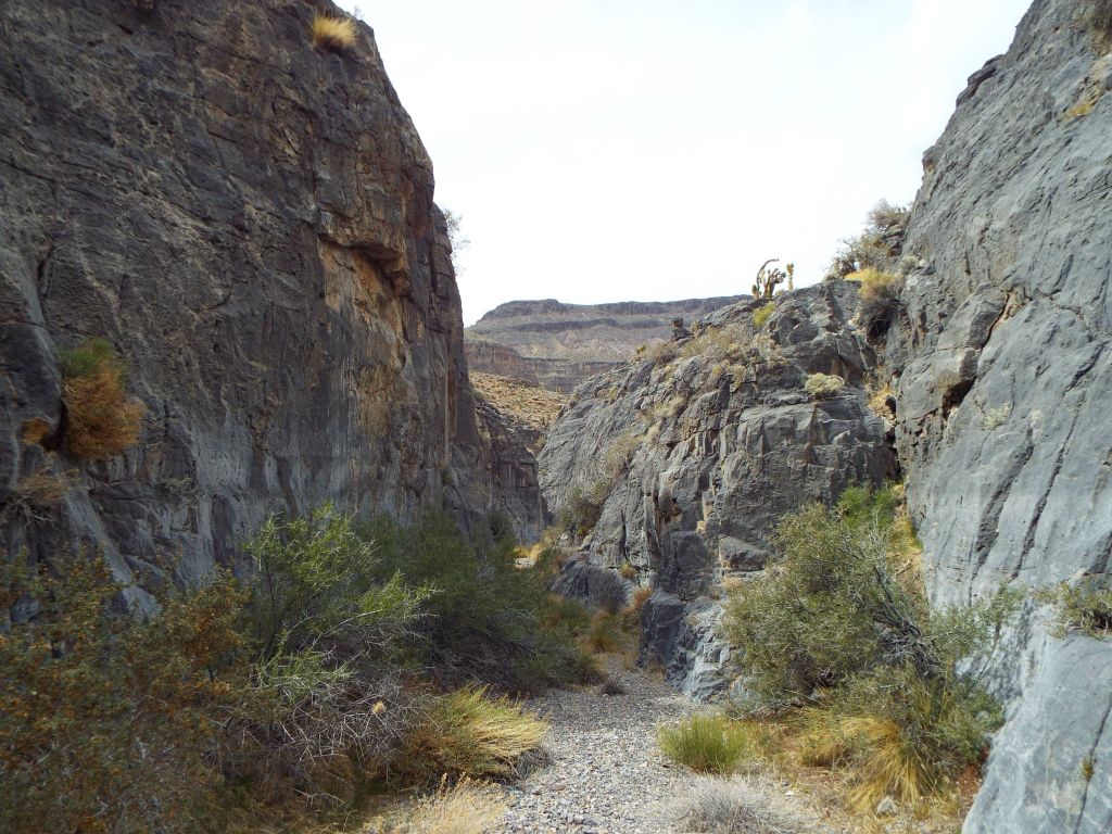 There was quite a bit of greenery and plants within the narrows: