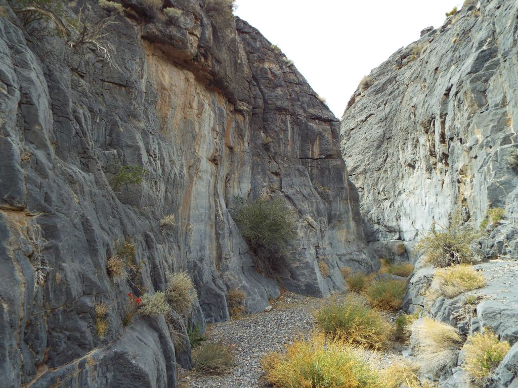 Sadly, I had walked right past both the head and mouth of this canyon back in 2010 and didn't realize it was here: