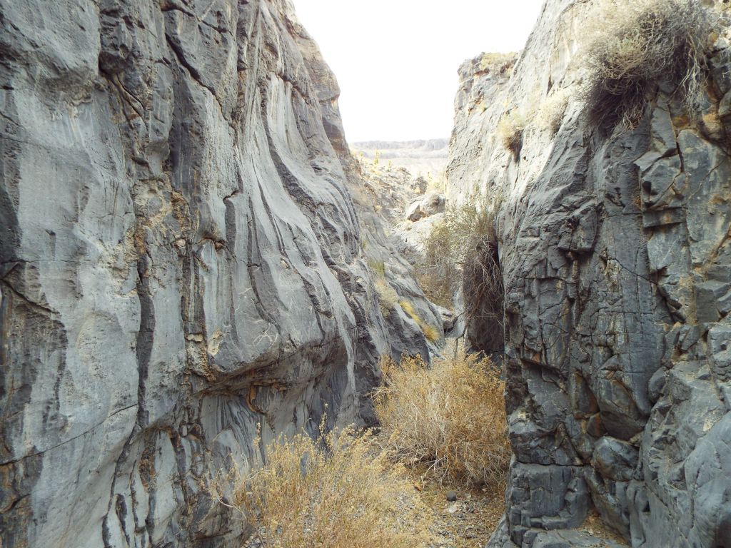 Along with the large amount of plants and brush, the main feature of these narrows was the polished rock:
