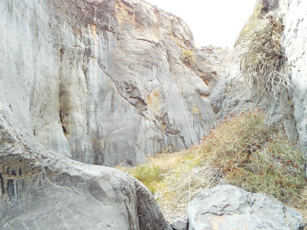 Most of the 1st Narrows has easy walking like this with very few obstacles: