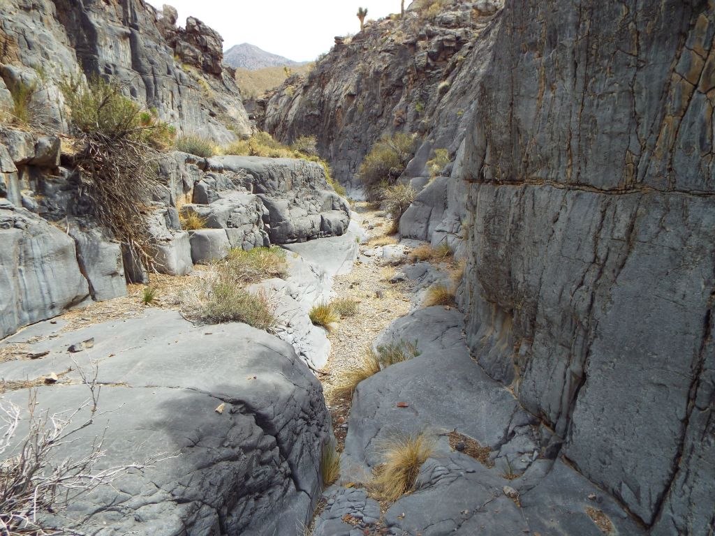 In the morning, we had hiked up Bighorn North.  And later in the day, we would still need to hike down the entire length of Bighorn Gorge to get back to camp: