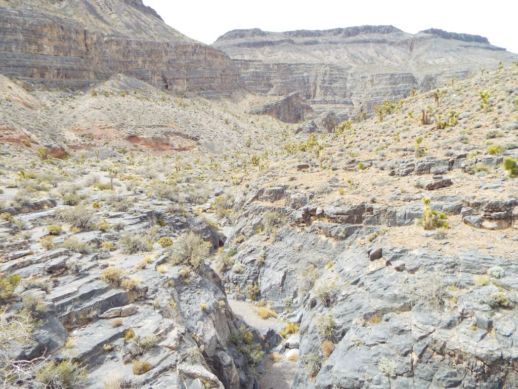 On the rim of the canyon now looking ahead past the 1st Narrows into the next section: