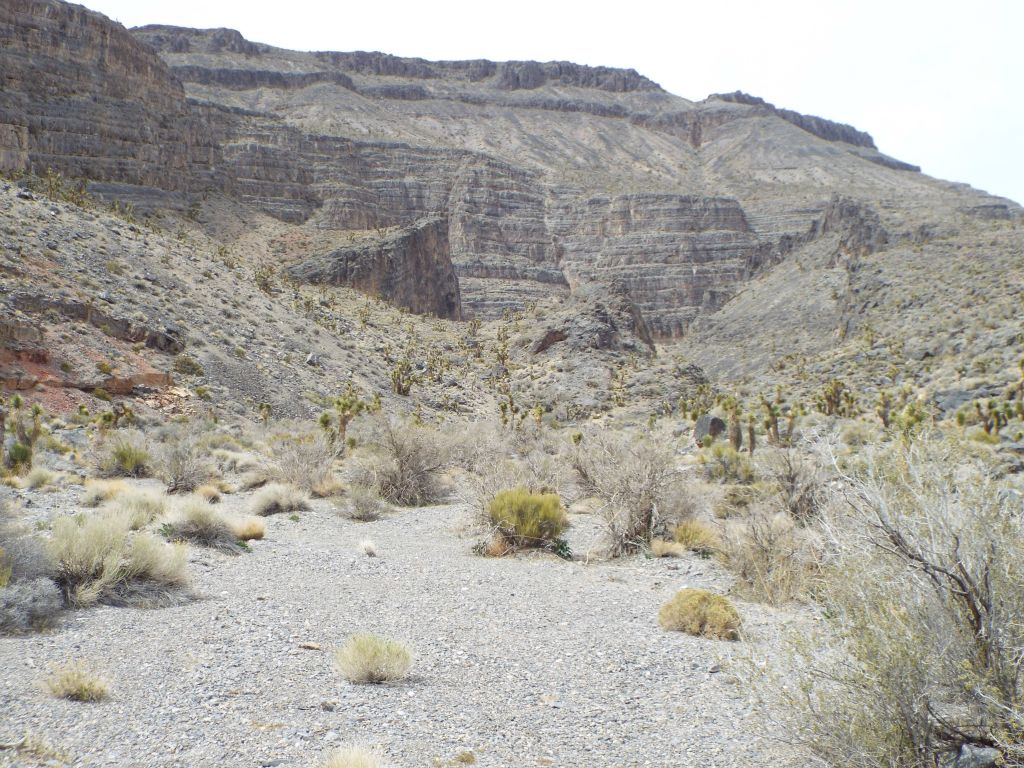 The canyon opened up for a while but I remained surrounded by breathtaking cliffs: