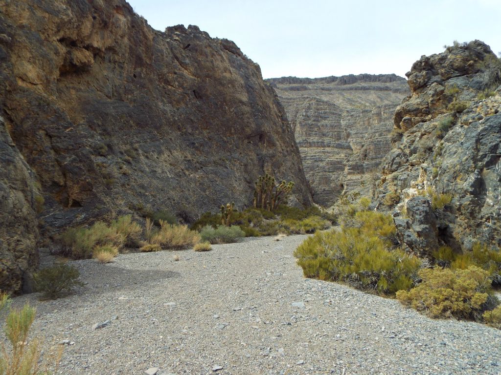 Such a nice wide wash to walk through in between the 1st and 2nd Narrows:
