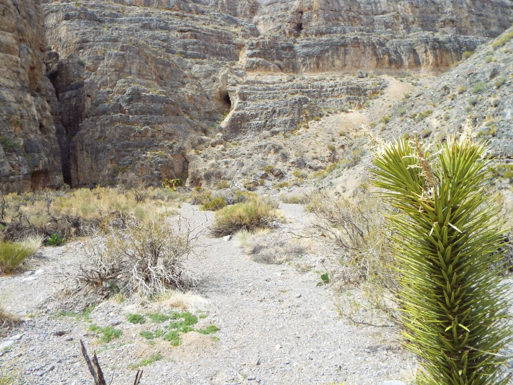 Does the canyon go to the right up ahead?  No, it goes straight into the cut in the rock on the left: