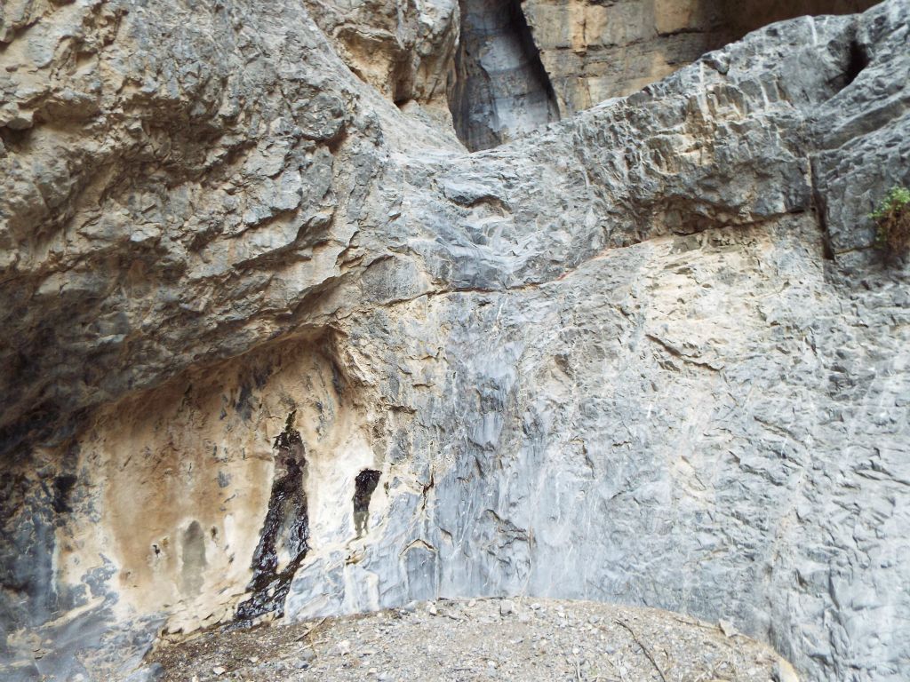 The dry fall wasn't too difficult to climb, but I had to watch out for my camera: