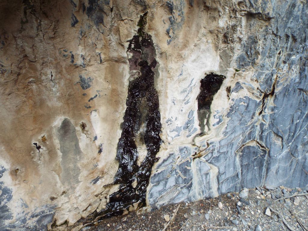I spotted a very small seep of water coming out of the rock: