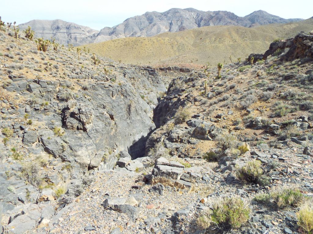 On the hike back down Lost Canyon, I stayed on the rim trail above the 1st Narrows which was made by Bighorn sheep: