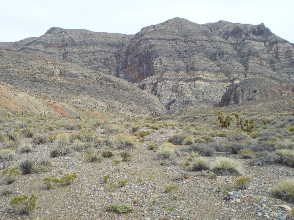 Once I had completely exited Lost Canyon, I picked up Curtis (who had just finished his nap), and we both hiked towards Bighorn Gorge (seen in the distance):