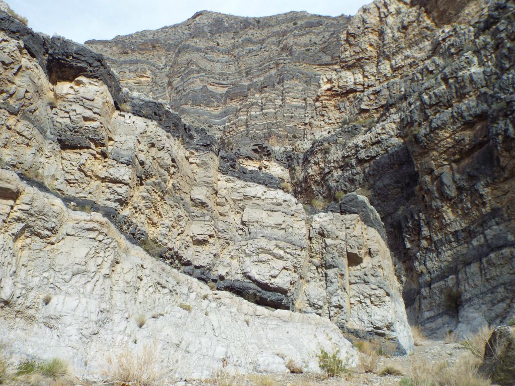 I'm going to end this report by leaving you with 12 new pictures that I took while hiking through Bighorn Gorge, as we completed our backpacking route and returned to camp at the mouth of Bighorn North.  I'm not going to give commentary on these photos since the focus of this report is Lost Canyon and not Bighorn Gorge.  But this was really special for Curtis because it was his first hike into Bighorn Gorge, while it was my third time: