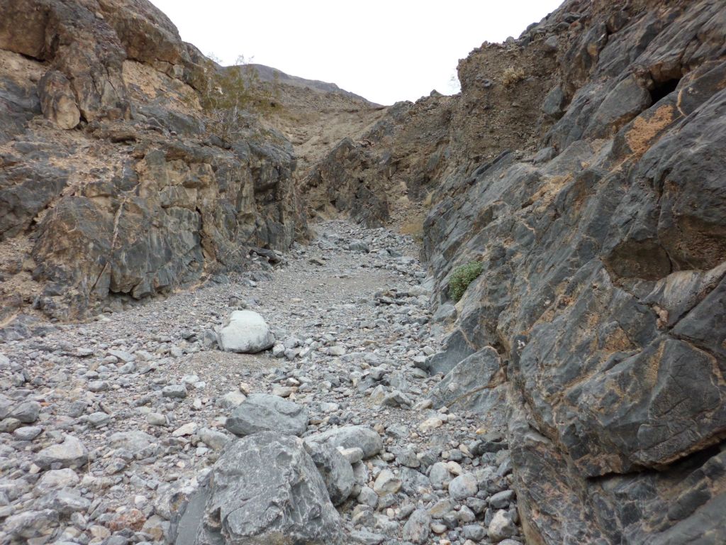 The canyon was narrow right from the beginning.  In fact, the canyon is narrow from beginning to end, something I had never experienced before: