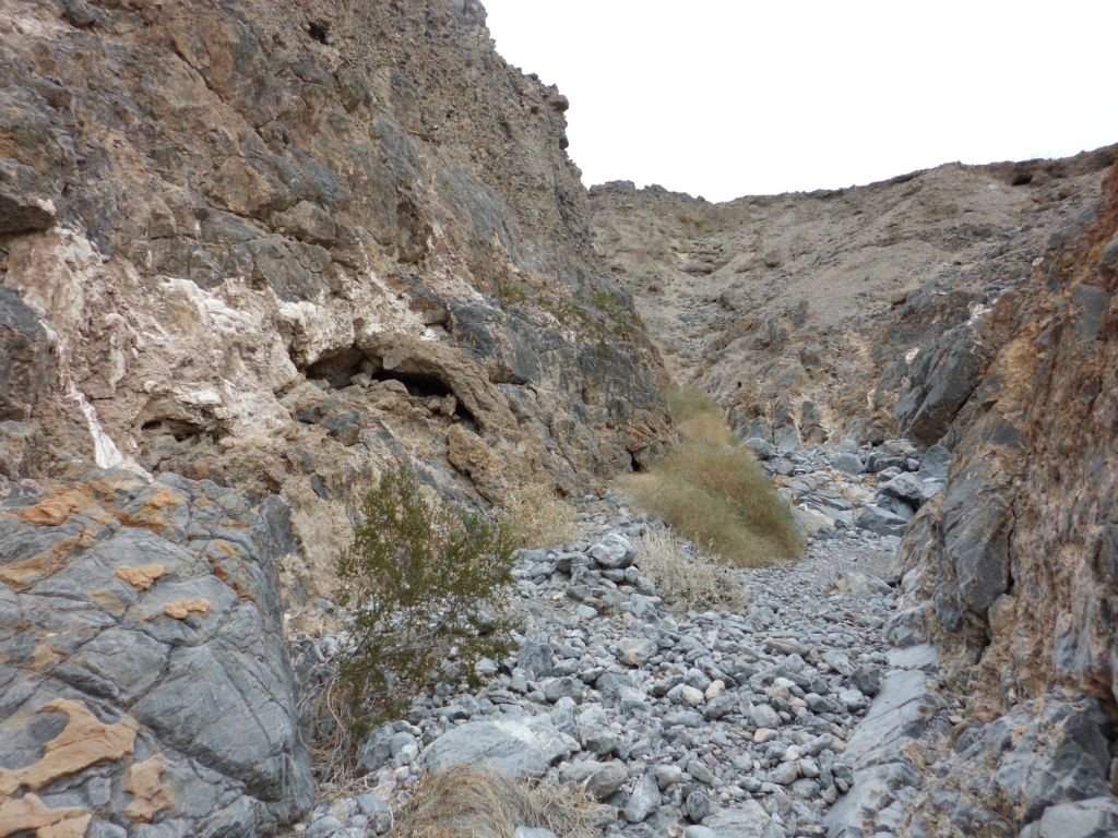 The early part of the canyon features shallow narrows: