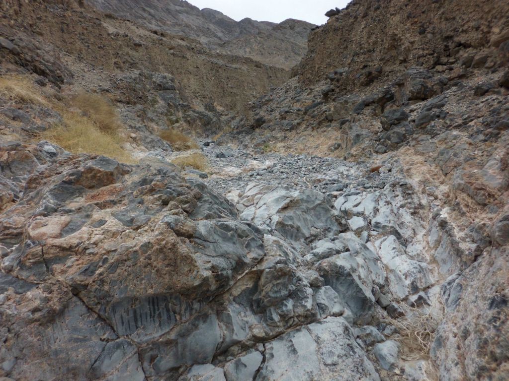 But most of the walking in the early canyon was easy like this: