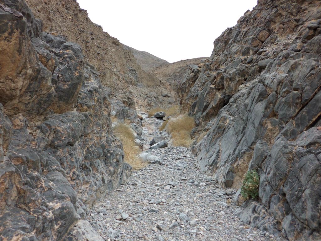 All of us were already very impressed with Slab Canyon and the continuous narrows:
