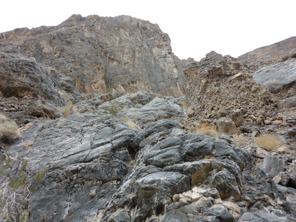 Looking up above the canyon, the cliffs were high and intimidating: