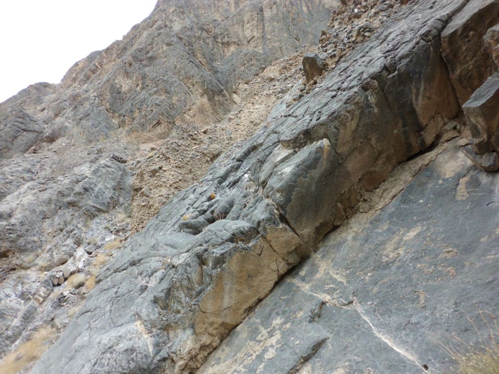 Two more pictures of the rock slab extending down into the canyon: