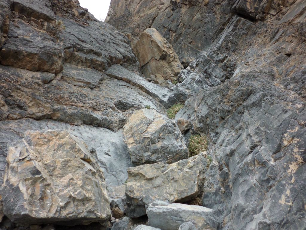 One of the neatest rocks which has fallen into the canyon from above is the flat piece of rock slab seen in the distance: