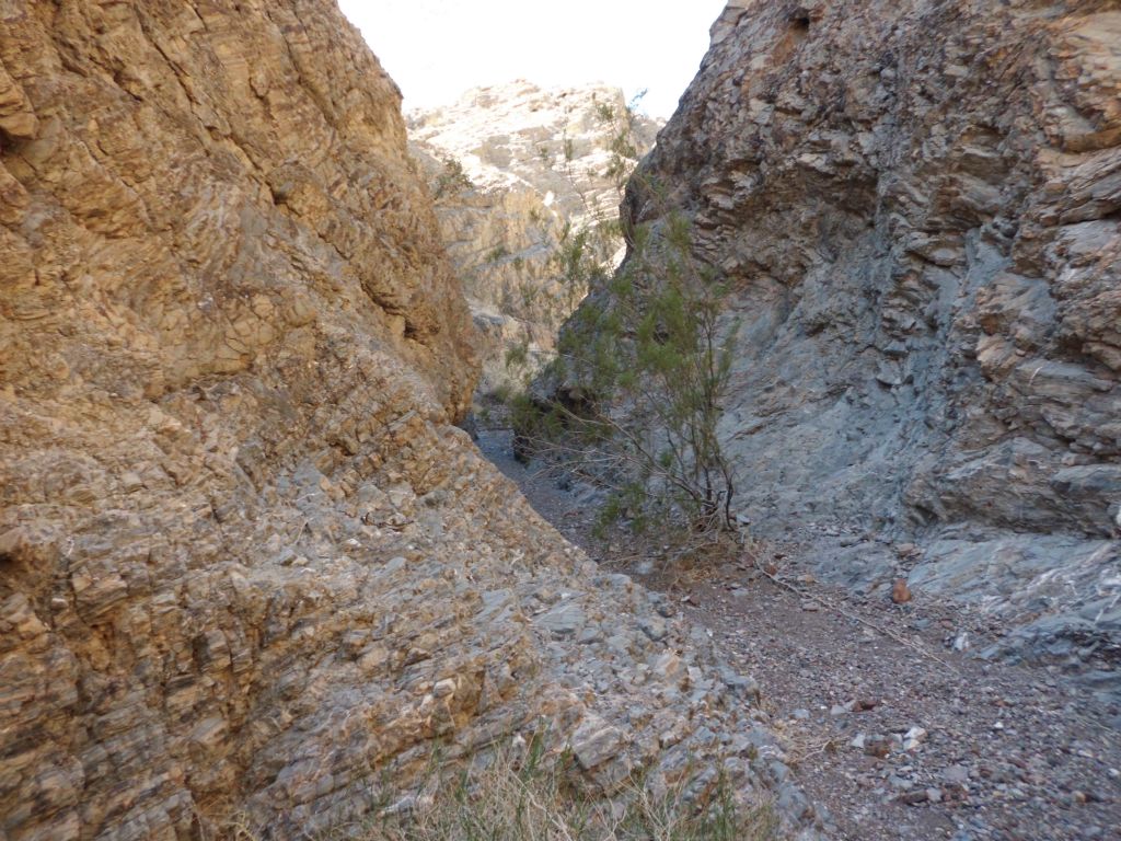 Navigating around a small tree growing out of the narrow wash: