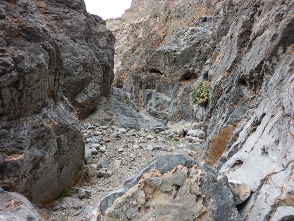 This is probably the widest spot in all the middle canyon:
