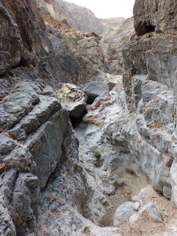 Middle Slab Canyon has quite possibly my favorite section of narrows in the park: