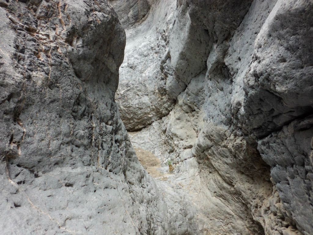 You can imagine the sense of wonder that we felt while walking through this section: