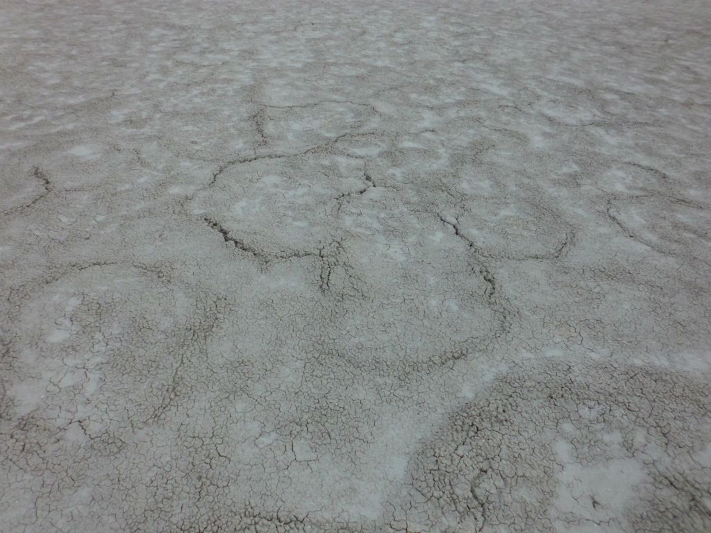 Looking at the ground surface of the Niter Beds: