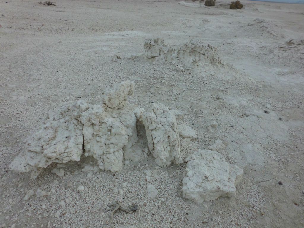 The guidebook Hiking Death Valley states that the Niter Beds are made of "clay and mud mixed with evaporites, perhaps the remains of an old lake":
