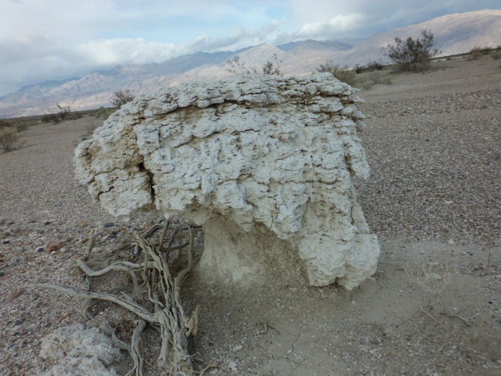 The more time we spent walking around the Niter Beds, the more of these odd formations we found:
